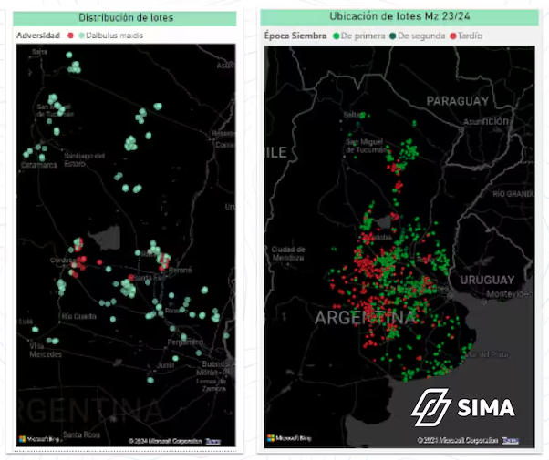 Imagen satelital sobre distribución de lotes y ubicación de los lotes con maíz 